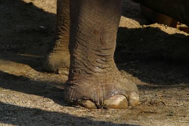 Similar image 8213999