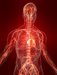 Similar image 8214023