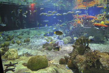 Similar image 8214024