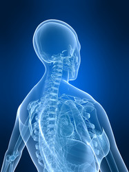 Similar image 8214038