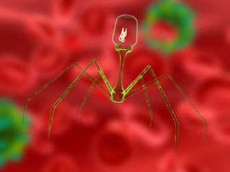 Similar image 8214052