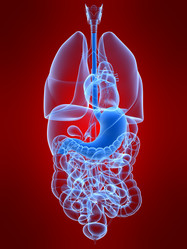 Similar image 8214074