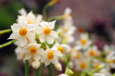 Similar image 8214077