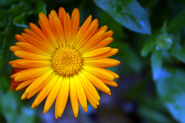 Similar image 8214092