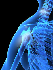 Similar image 8214098