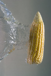 Similar image 8214115