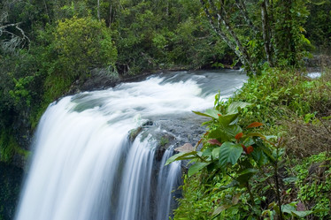 Similar image 8214154