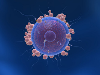 Similar image 8214170