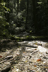 Similar image 8214222