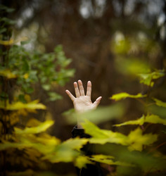 Similar image 8214241