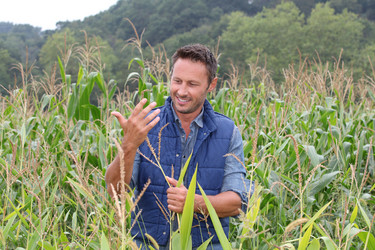 Similar image 8214262