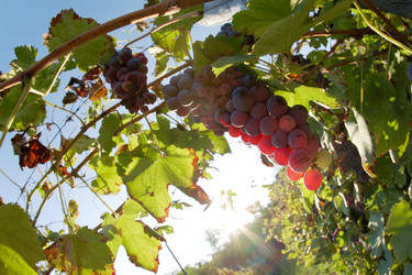 Similar image 8214267