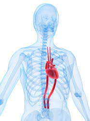 Similar image 8214297