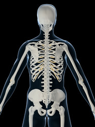 Similar image 8214553