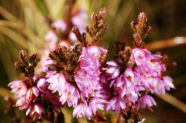 Similar image 8214574