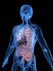 Similar image 8214578