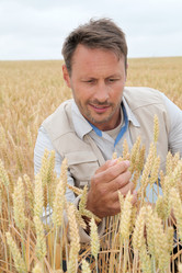 Similar image 8214582