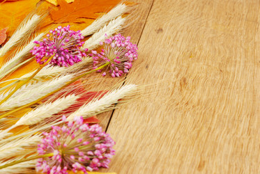 Similar image 8214586