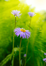 Similar image 8214645