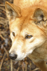 Similar image 8214658