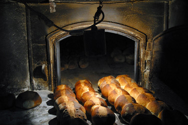 Similar image 8214659