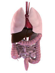 Similar image 8214690