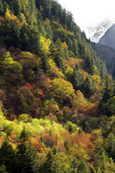 Similar image 8214728