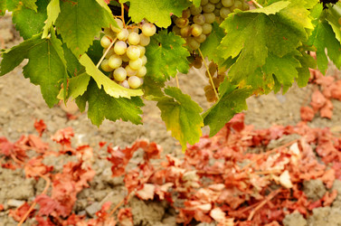 Similar image 8214745