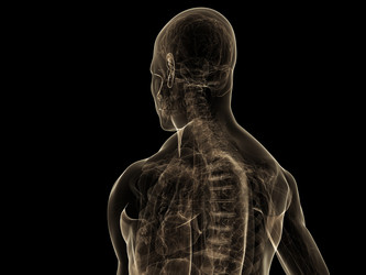 Similar image 8214751