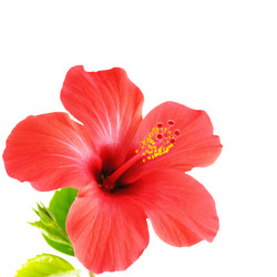 Similar image 8214771