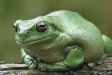 Similar image 8214827