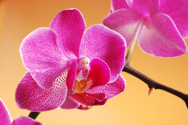 Similar image 8214843