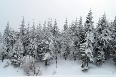 Similar image 8214854