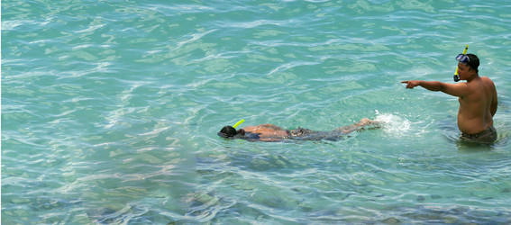 Similar image 8214903