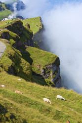 Similar image 8214911