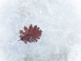 Similar image 8214943