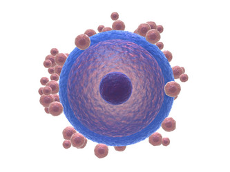 Similar image 8214970