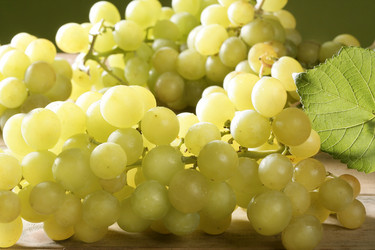 Similar image 8214979