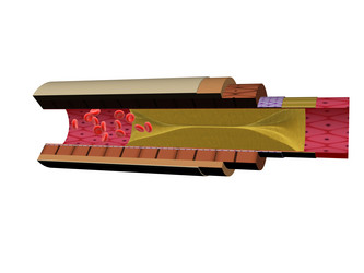 Similar image 8214996