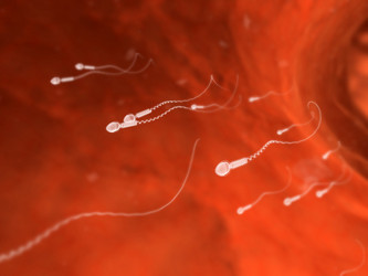 Similar image 8215011