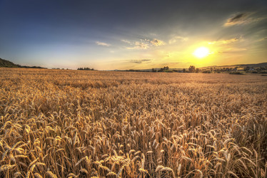 Similar image 8215019