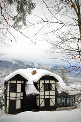 Similar image 8215058