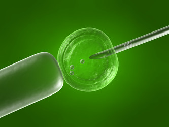 Similar image 8215099