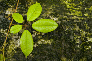 Similar image 8215137