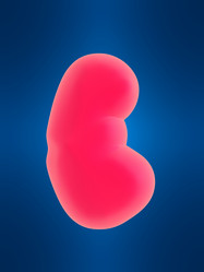 Similar image 8215157