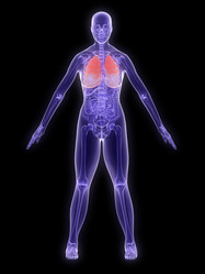 Similar image 8215163