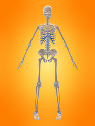 Similar image 8215192