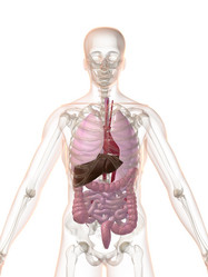 Similar image 8215225