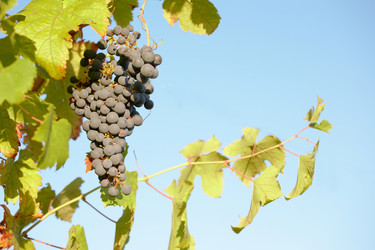 Similar image 8215240