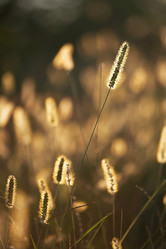 Similar image 8215242